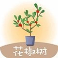 花椒树贷款官网版