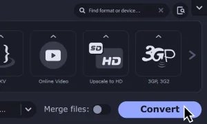Movavi Video Converter Mac